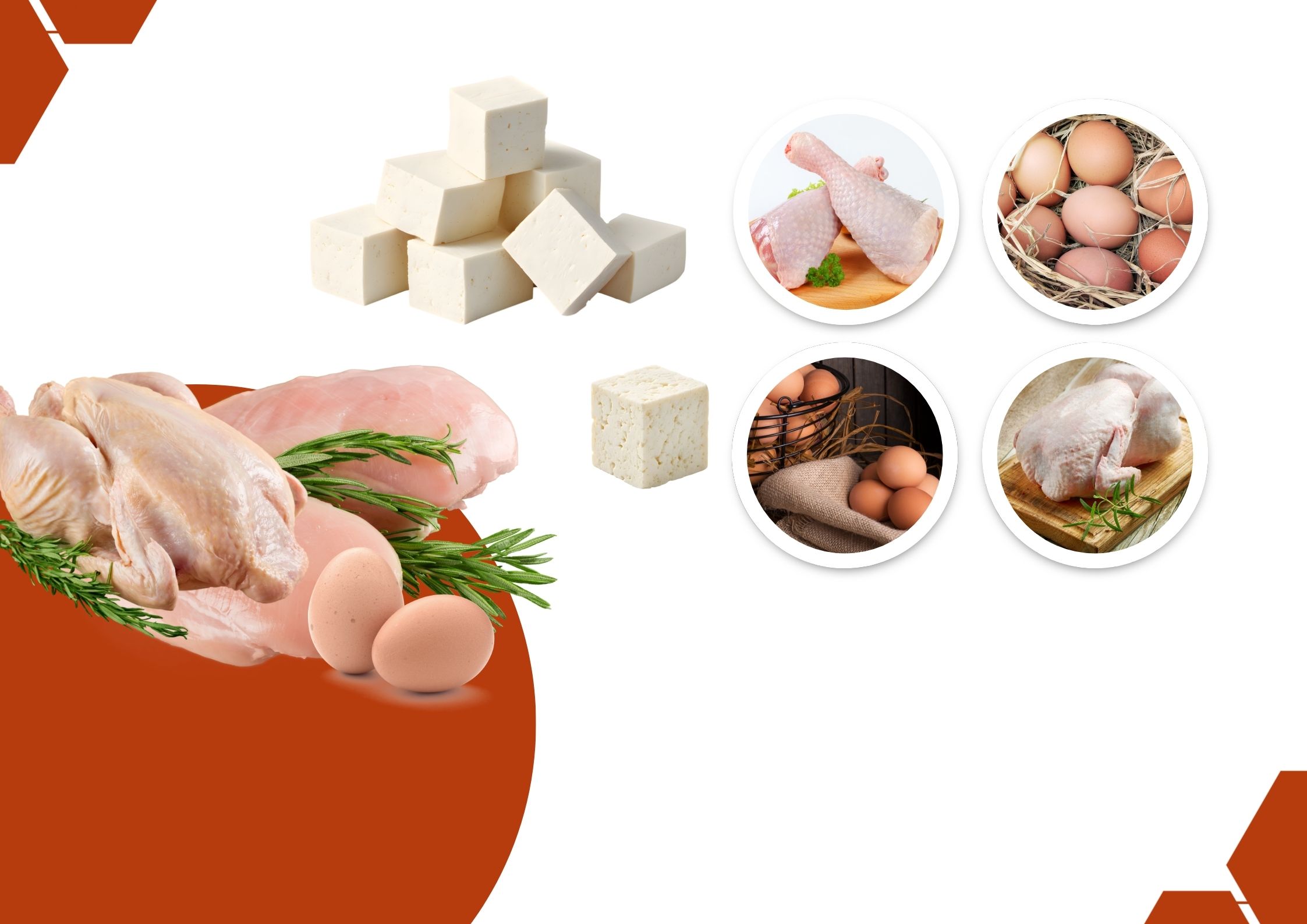 Paneer vs Egg vs Chicken: The Best Protein Source Showdown